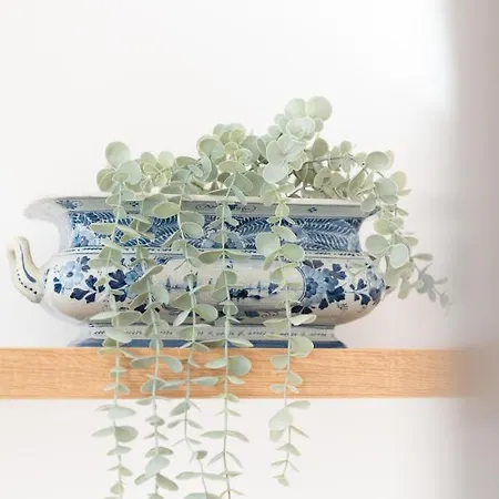 Beautiful Penthouse - Center