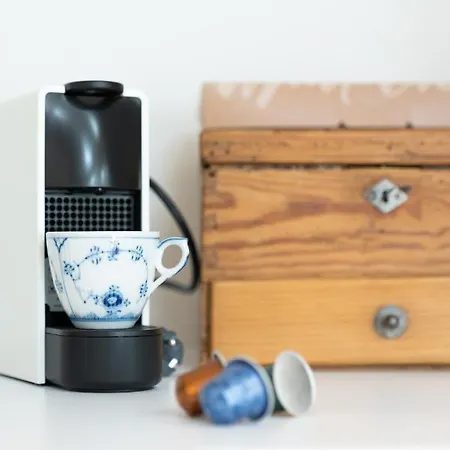 Beautiful Penthouse - Center Apartment Graz