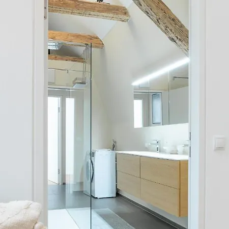 Beautiful Penthouse - Center Apartment Graz