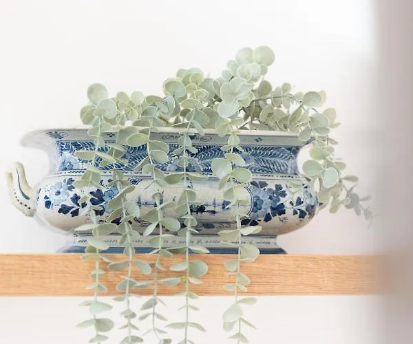 Beautiful Penthouse - Center